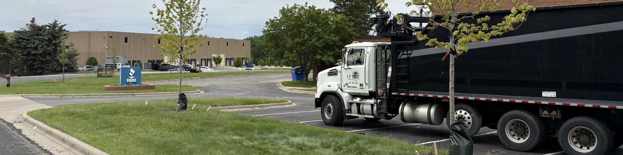 Tree service truck at a job site