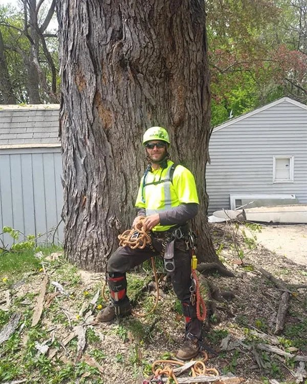 Arborist Standing Beside A Large Tree Trunk Arborist standing beside a large tree trunk