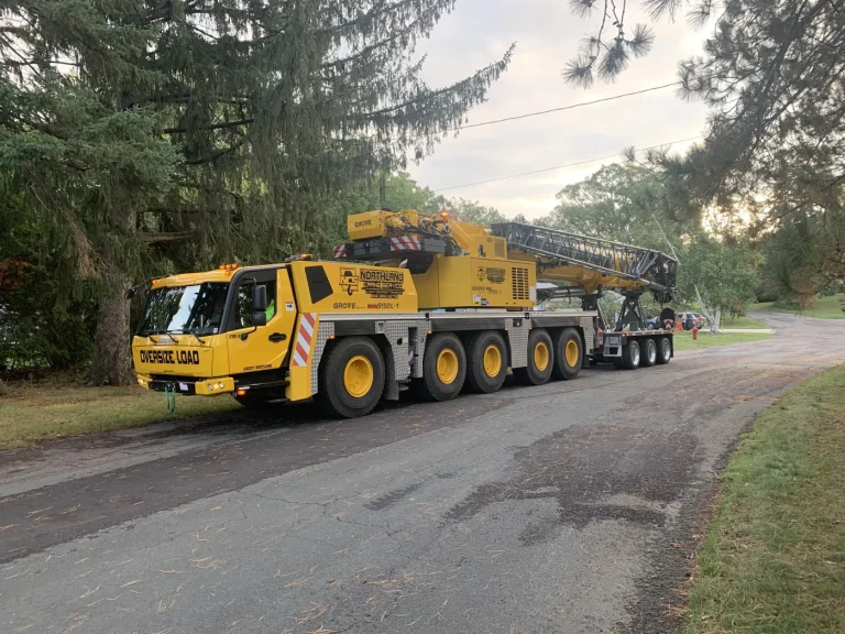 Crane on site for a tree removal