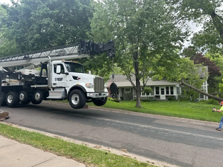 Crane truck lifting a tree from a yard