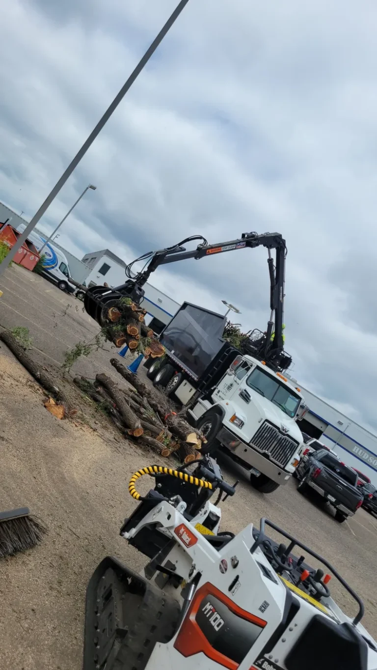 Equipment staged for a tree removal
