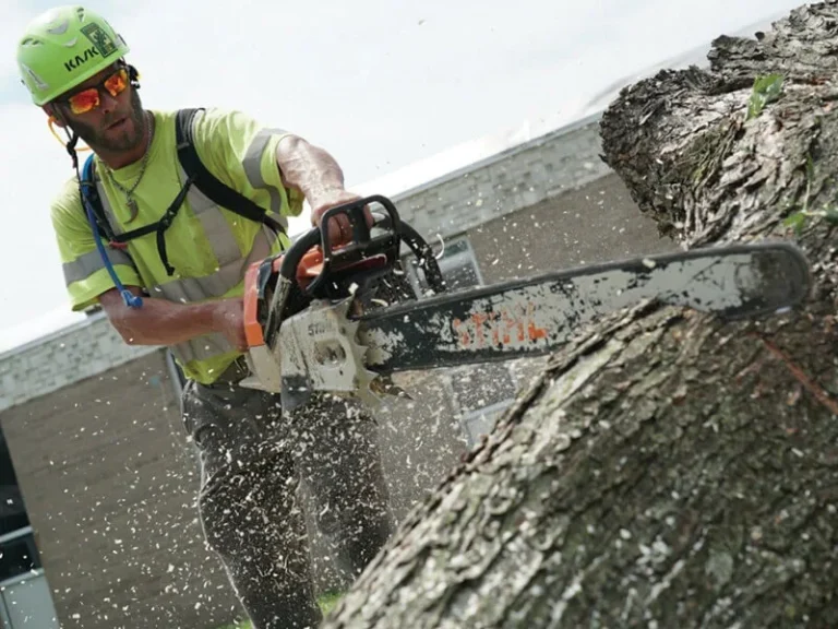Arborist cutting a large log with a chainsaw